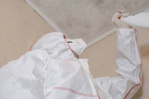 Parkland, WA Mold Remediation Company